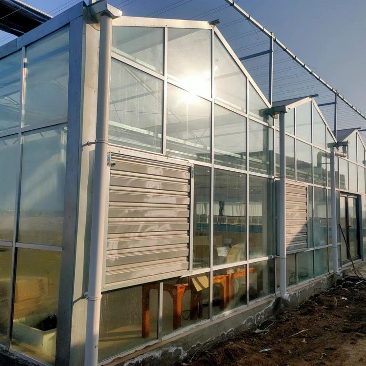 image013001 image013001