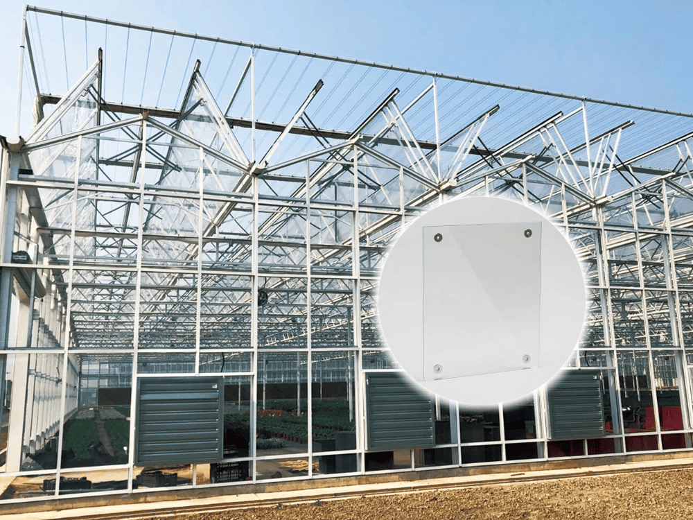 What Type of Glass Is Used for Greenhouses? What Type of Glass Is Used for Greenhouses?