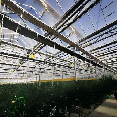 Iot Based Smart Greenhouse