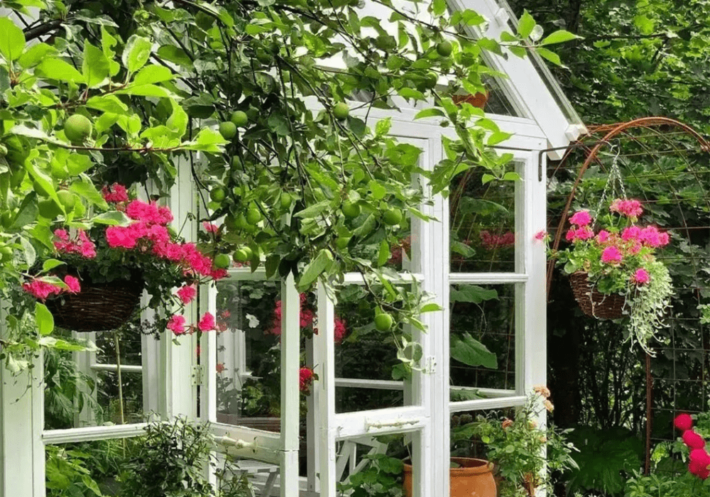 image 1 1